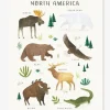 vente luxe pas cher Affiche Animaux D’Amérique Du Nord Living Earth LILIPINSO Marron – Lilipinso 8