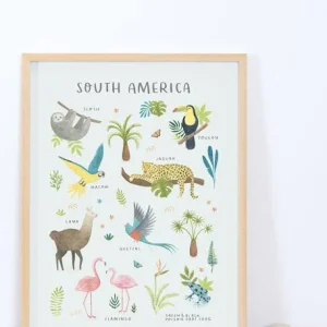 Affiche Animaux D’Amérique Du Sud Living Earth LILIPINSO Multicolore – Lilipinso Satisfait ou Remboursé 6