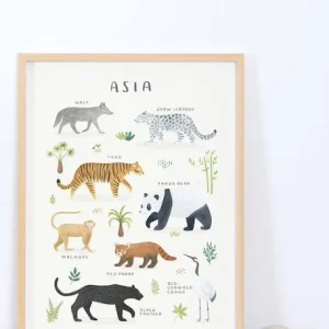 Affiche Animaux D’Asie Living Earth LILIPINSO Gris – Lilipinso en solde 6