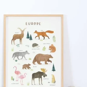 Affiche Animaux D’Europe Living Earth LILIPINSO Marron – Lilipinso magasin france 6