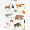 Affiche Animaux D’Europe Living Earth LILIPINSO Marron – Lilipinso magasin france 10