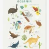 haute qualité Affiche Animaux D’Océanie Living Earth LILIPINSO Marron – Lilipinso 14